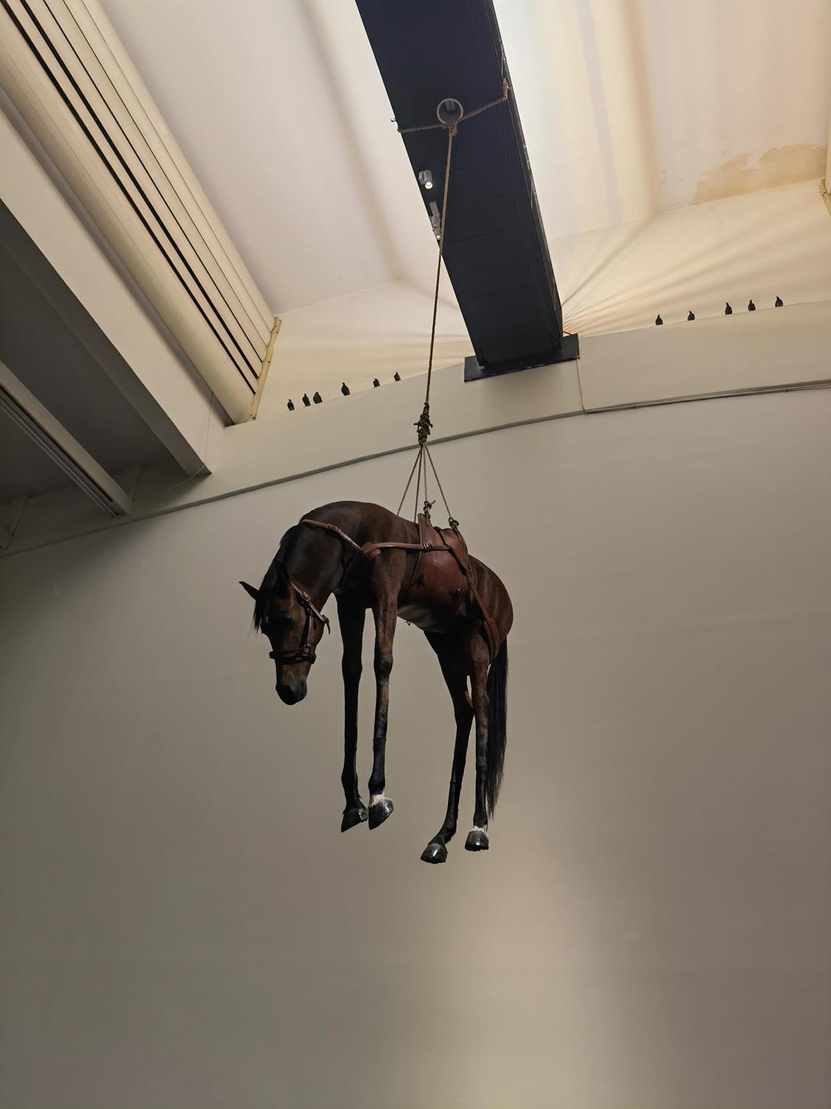 images/art/2021-12-19 莫瑞吉奥卡特兰 最后的审判/3.jpg